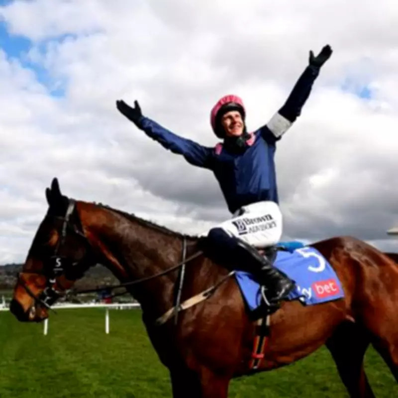 Willie Mullins Withdraws Kopek Des Bordes from Dublin Festival, Owner 'Heartbroken'