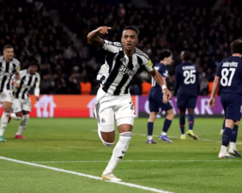 Willock's Strike Secures Vital Point as Newcastle Stall PSG's Champions League March