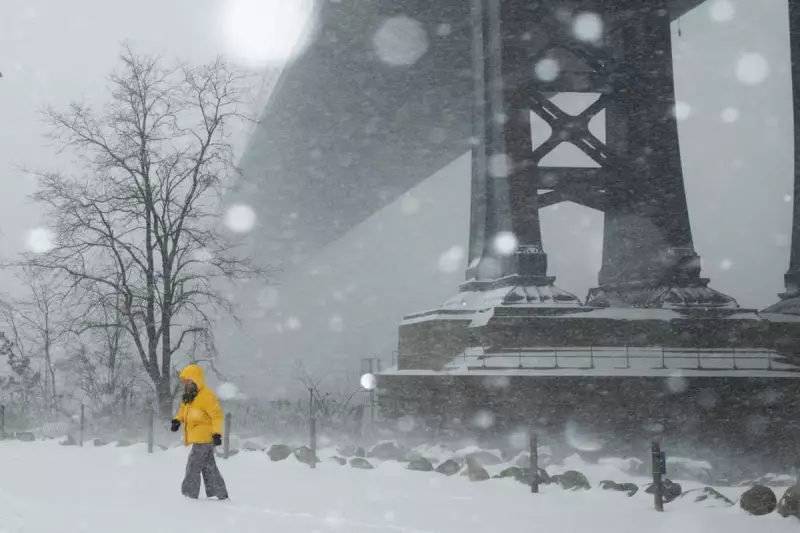 Winter Storm Ravages US, Causing Fatalities, Power Cuts and Travel Chaos