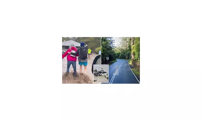 Woman Killed by Falling Branch as Storms Batter Australia's East Coast