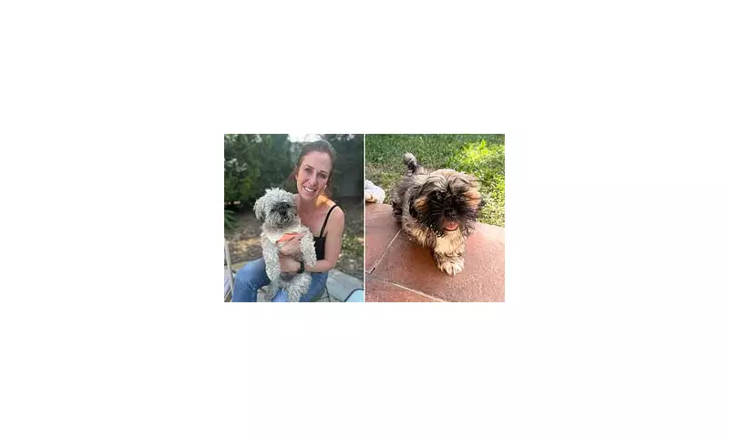 Woman Spends $50,000 Cloning Late Dog, Reveals Emotional Reality