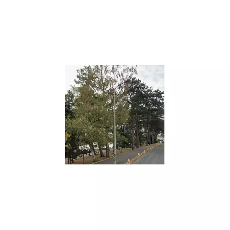 Woman's Body Recovered from Roath Park Lake in Cardiff, Police Investigate