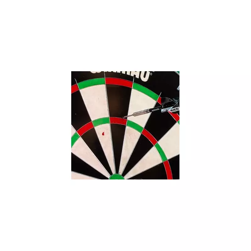 World Darts Championship Final Halted as Gian van Veen Bleeds on Board