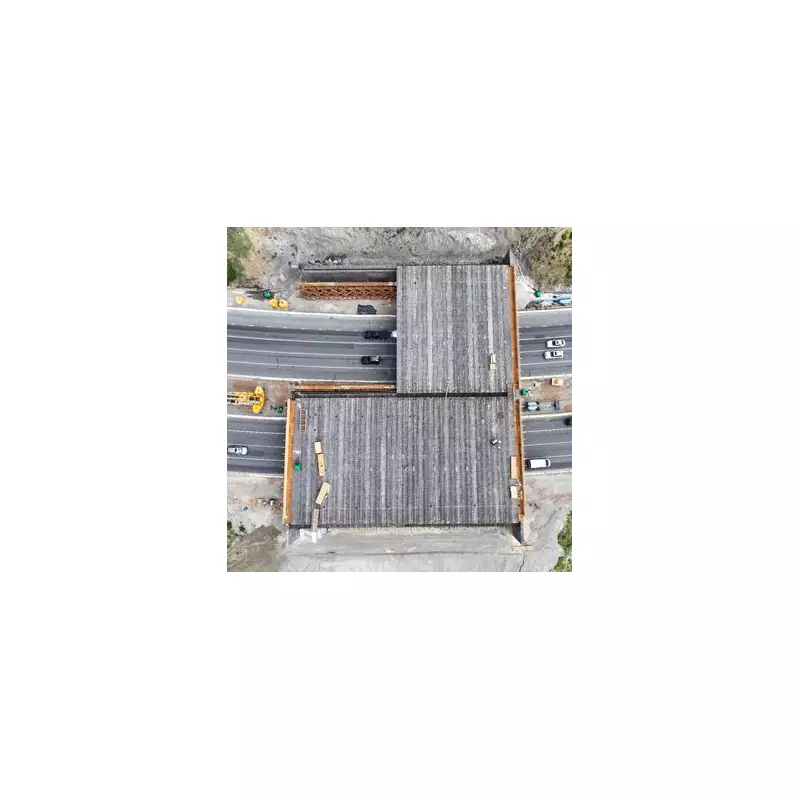 World's Largest £68m Wildlife Bridge Nears Completion in California