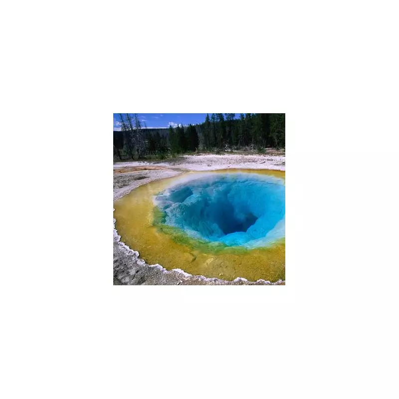 Yellowstone Tragedy: Man Dissolves in 93°C Hot Spring After Ignoring Warnings