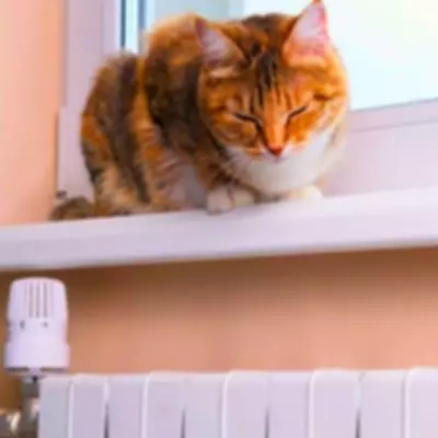 Clean Your Radiator With One Household Item For Double The Heating Speed