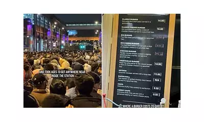 London NYE Fireworks Fury: £45 Tickets, 'Sheep Pens' & Wicked 'Ad' Backlash