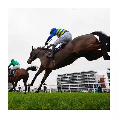 Newsboy's Wednesday Racing Tips: Two Four-Timers Targeted at Newbury & Lingfield