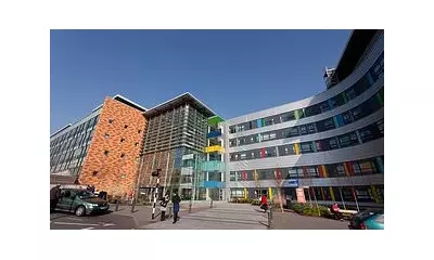 NHS Staff Ignorance on C. diff Hygiene Puts Patients at Risk, Study Finds