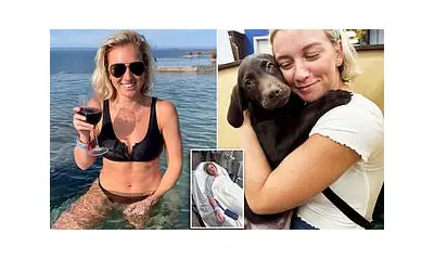 Pittsburgh Dog and Owner Electrocuted on Live Sidewalk: City's Failed Pledge Exposed