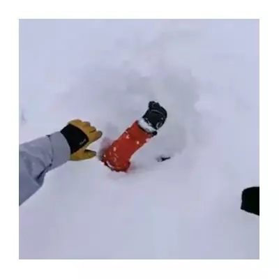 Quick-thinking skier saves boy buried alive in Swiss avalanche