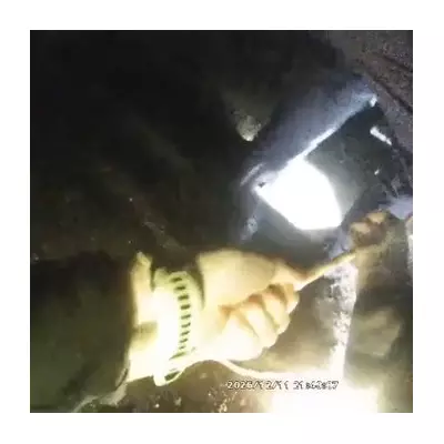 Six Police Officers Form Human Chain to Save 66-Year-Old Woman Trapped Underwater