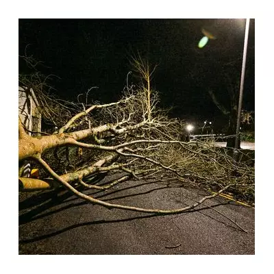 Storm Goretti's 123mph Winds Batter Cornwall, Prompting Rare Red Warning