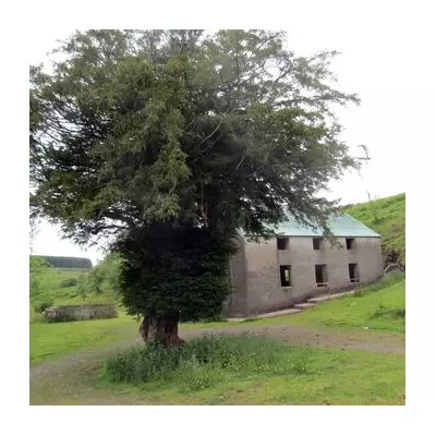 The Lost Village of Epynt: How 54 Welsh Families Were Forced to Leave Their Homes