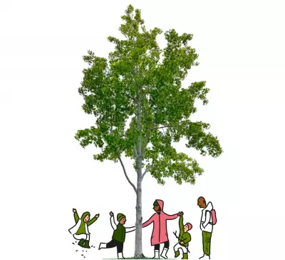 The Secret to Happiness in 2026: Stop Self-Improvement, Start Living