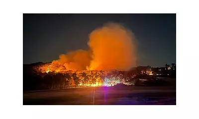 Urgent Search for Missing Family of Four in Victoria Bushfire Blaze