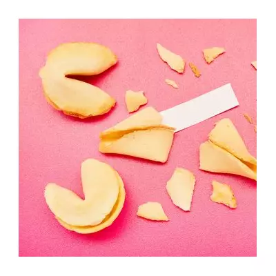 Woman's Fortune Cookie Message Leads to New Cat After Pet Loss