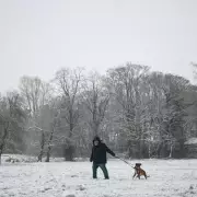 18 UK Postcodes Get £50 Double Cold Weather Payments After Snowfall