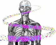 20 Microplastics Studies Questioned: Scientific Scrutiny Meets Political Risk