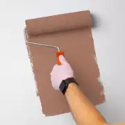 2026 Paint Colour Forecast: Experts Reveal the Dominant Earthy Tones