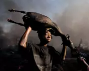 45 Years of Global Witness: Ed Kashi's Astonishing Photojournalism