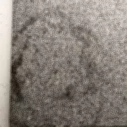 59p Baking Soda Hack Fails to Remove Oil Stain from Granite Chopping Board