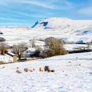 735-Mile Blizzard Forecast to Hit UK: 72 Cities on Snow Alert