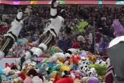 80,000 Teddy Bears Tossed in 'Plush Pandemonium' at Hershey Hockey Game