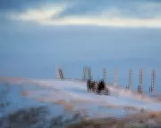 A Winter's Literary Journey: From Arctic Nomads to Berlin's Shadows