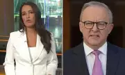 Albanese Clashes with Reporter Over ASIO Chief's Security Meeting Role