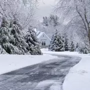Aldi's £2 Cat Litter Stops Slippery Driveways This Winter, Expert Reveals