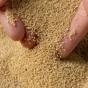 Amaranth: The Ancient 'Immortality Grain' Packed with Protein & Fibre