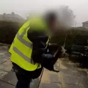 Amazon Delivery Driver Accused of Stealing Family Cat in Halifax Doorbell Footage