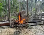 Amazon Gold Rush Crackdown: 200 Arrested in Cross-Border Operation