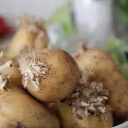 Apple Storage Trick: Experts Reveal Simple Way to Stop Potatoes Sprouting