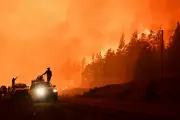 Argentina's Patagonia Wildfires Ravage 12,000 Hectares, Threaten Communities