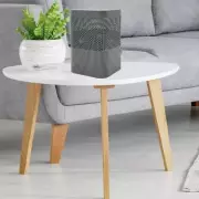 Argos's £13 'Fantastic' Dehumidifier Banishes Condensation Without Electricity