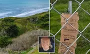 Art Fraudster Sparks Fury by Blocking California Beach Path with Illegal Fence