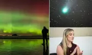 Aurora Borealis Spectacle Illuminates Scottish Skies in Rare Winter Display
