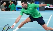 Australian Open Fans Demand Wally Masur's Removal Over Novak Djokovic Comments