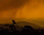 Australia's Heatwave Crisis: A Climate Scientist's Warning from Black Summer to Now