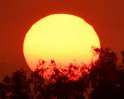 Australia's Most Severe Heatwave Since Black Summer to Scorch Southern States