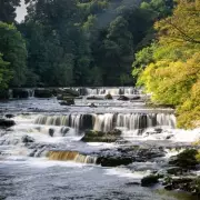 Aysgarth's Hidden Edwardian Rock Garden and Waterfalls Revealed