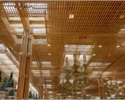 Bamboo Buildings Rise: Engineers Urge Architects to Go 'Bamboo-Ready' for Low-Carbon Future