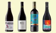 Beyond Rioja: Discover Spain's Diverse Red Wine Regions