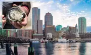 Boston Harbor Shellfishing Reopens After Century-Long Ban Lifted