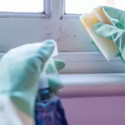 B&Q's 35p Mould Removal Hack: Expert Tips for Walls, Fabric & Furniture