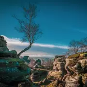 Brimham Rocks: Yorkshire's 320-Million-Year-Old Natural Wonder
