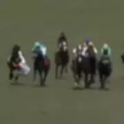 British Jockey David Egan Takes Heavy Fall After Mid-Race Horse Collision at Gulfstream Park