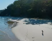 Campsites Closed After Canadian Woman Found Dead Amid Dingo Pack on K'gari